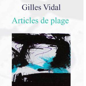 Article de plage, Gilles Vidal