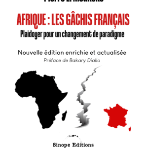 Afrique : Les gâchis français, Pierre E. Moukoko (livre)